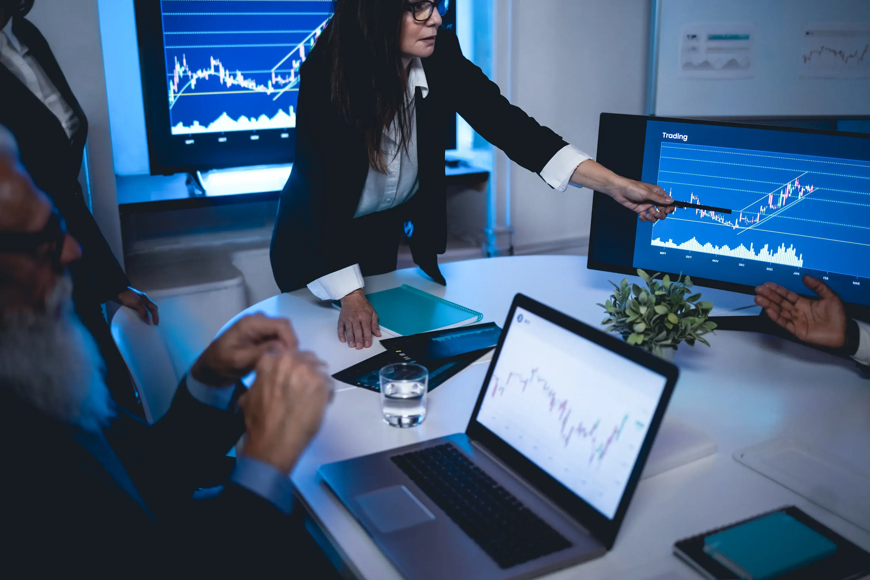 IT consultant presenting financial performance and business growth data during a client strategy meeting